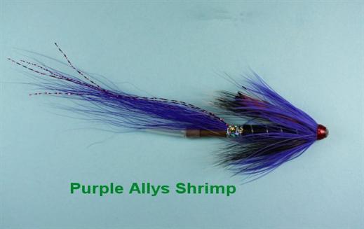 Ally's Purple Shrimp
